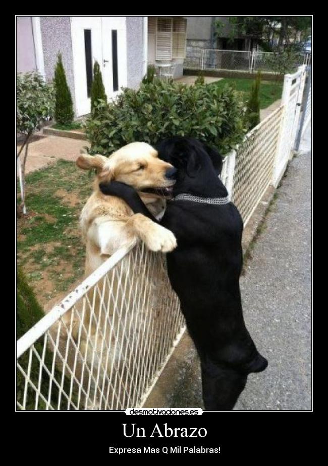 carteles amor desmotivaciones