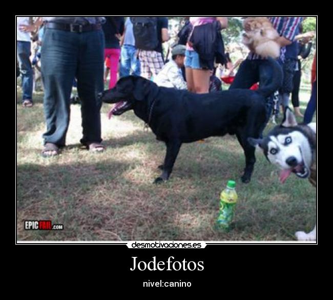 Jodefotos -