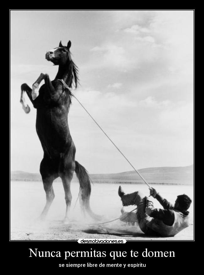 Nunca permitas que te domen -