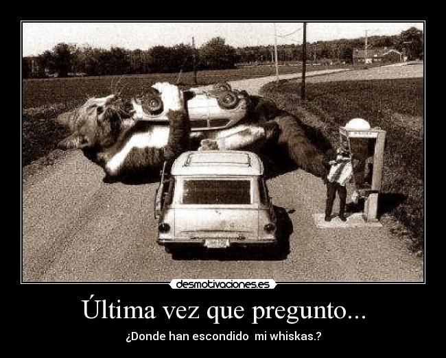 Última vez que pregunto... - ¿Donde han escondido mi whiskas.?