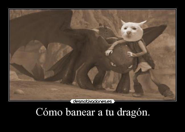 carteles slipkdemon intruders clandesplazado clanhorde catkillers ads ban desmotivaciones