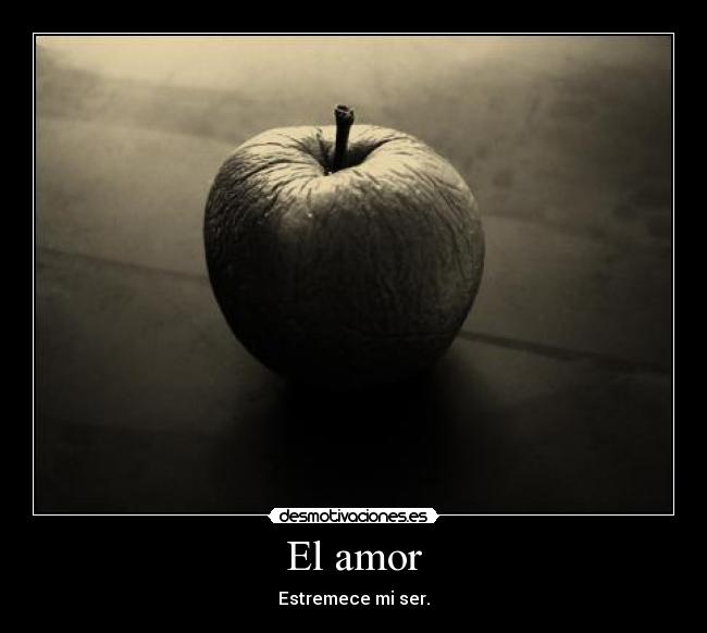 El amor - 