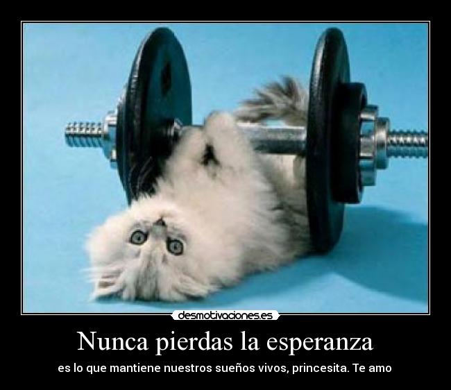 carteles esperanza sadasd desmotivaciones