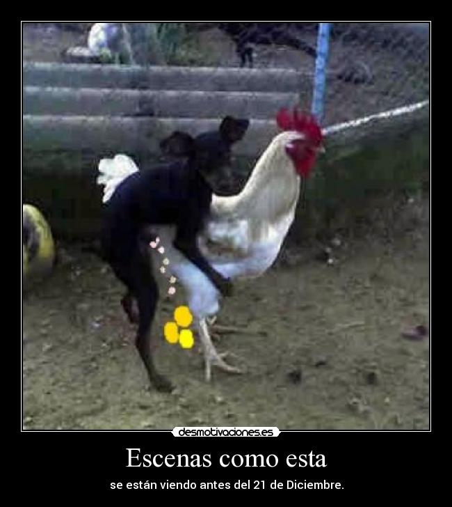 Escenas como esta - se están viendo antes del 21 de Diciembre.