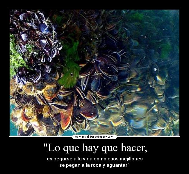 carteles aguantar aguantar aguantar aguantar desmotivaciones