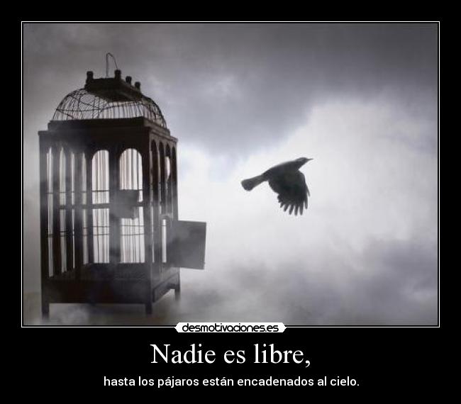 Nadie es libre, -