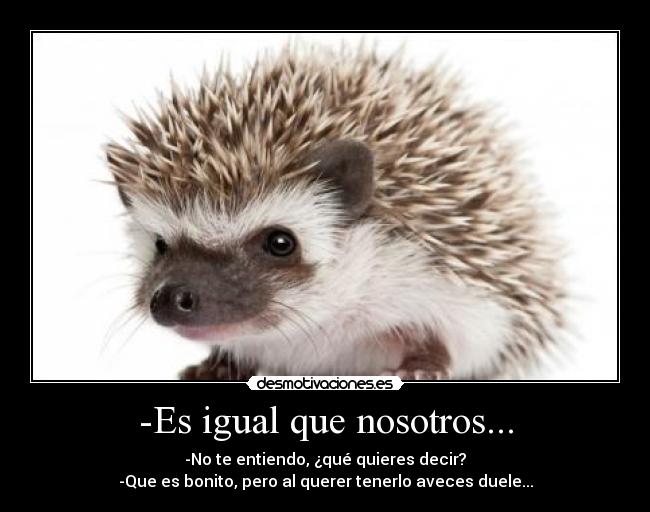 -Es igual que nosotros... - -No te entiendo, ¿qué quieres decir?
-Que es bonito, pero al querer tenerlo aveces duele...