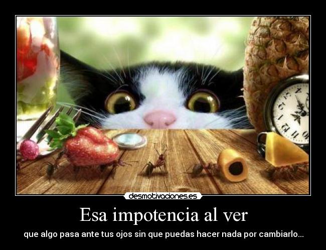 carteles tesacvvp cara shit llevan fresaa nooooooooool okno desmotivaciones