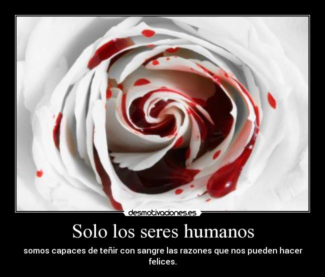 Solo los seres humanos - 