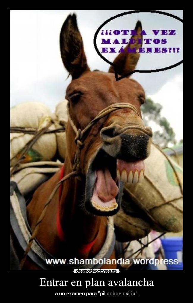 Entrar en plan avalancha - a un examen para pillar buen sitio.