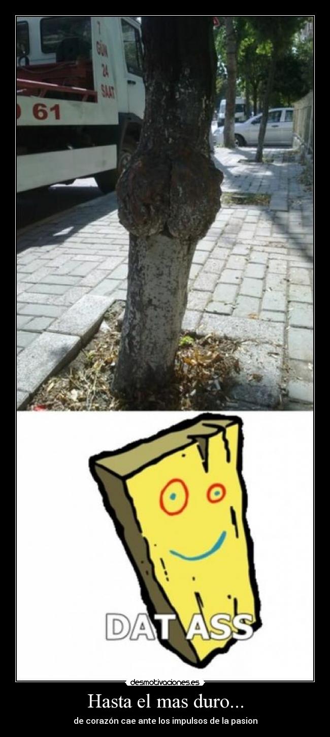 Hasta el mas duro... -