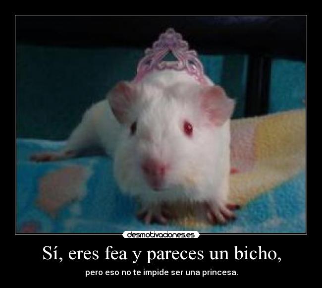 Sí, eres fea y pareces un bicho, -