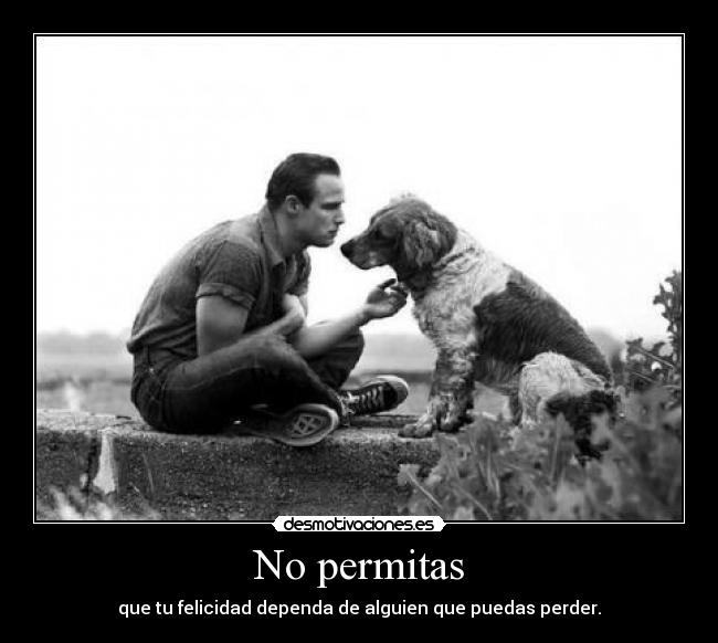 No permitas - 
