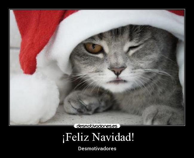 carteles navidad feliz navidad desmotivadores desmotivaciones