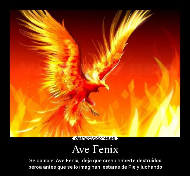 Ave Fenix - 