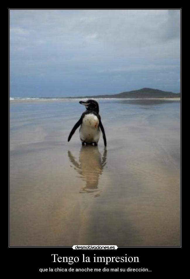 Tengo la impresion -