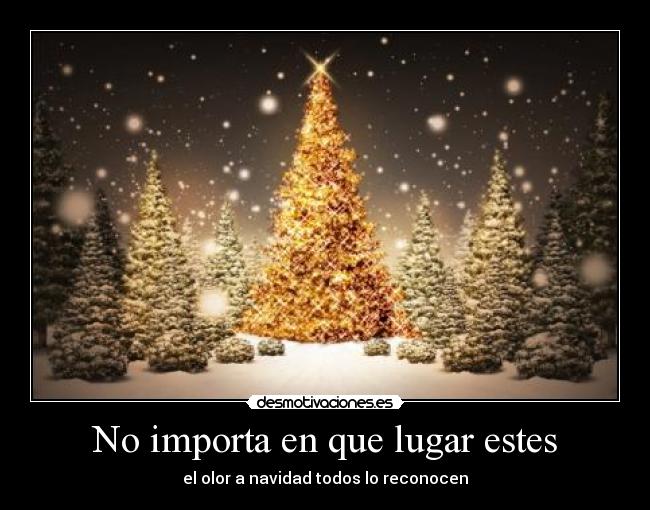 No importa en que lugar estes - el olor a navidad todos lo reconocen