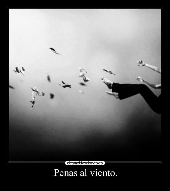 Penas al viento. -