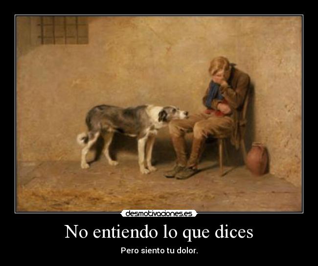 No entiendo lo que dices - Pero siento tu dolor.