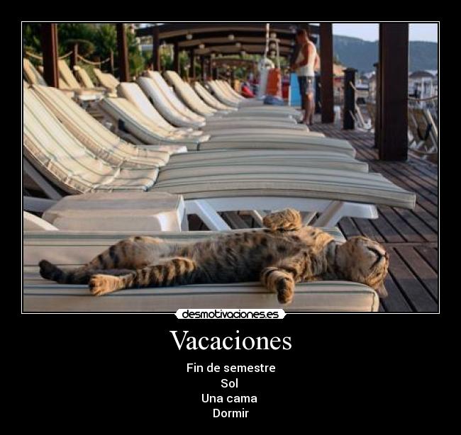 carteles gato intruders crazyclub clanreyleon yaaa desmotivaciones