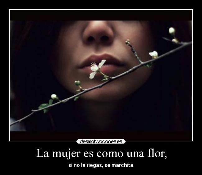 carteles mujer mujer desmotivaciones