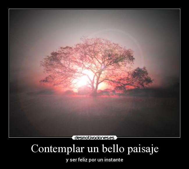 Contemplar un bello paisaje - 