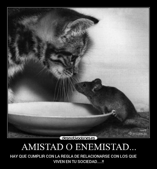 AMISTAD O ENEMISTAD... - HAY QUE CUMPLIR CON LA REGLA DE RELACIONARSE CON LOS QUE
VIVEN EN TU SOCIEDAD.....!!