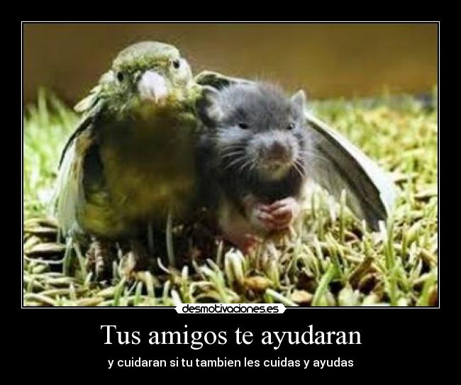 Tus amigos te ayudaran -