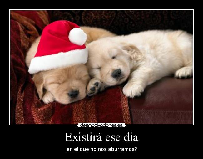 carteles preguntas desmotivaciones