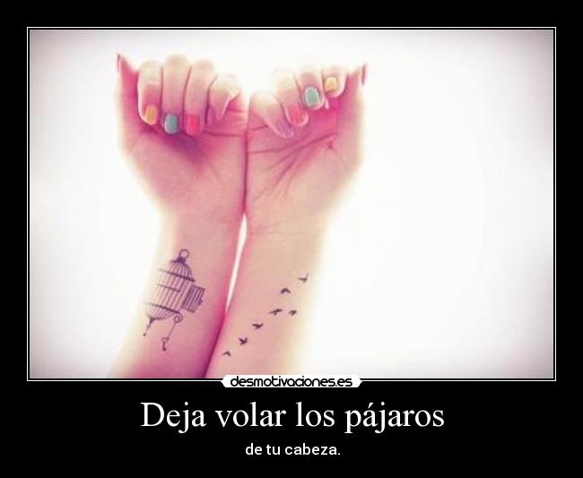 Deja volar los pájaros -