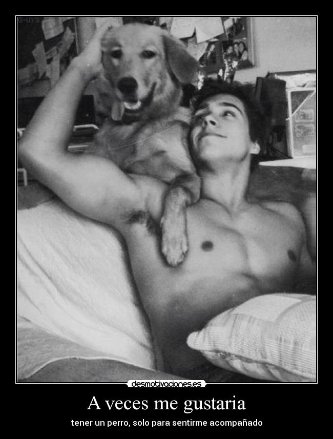 A veces me gustaria - tener un perro, solo para sentirme acompañado