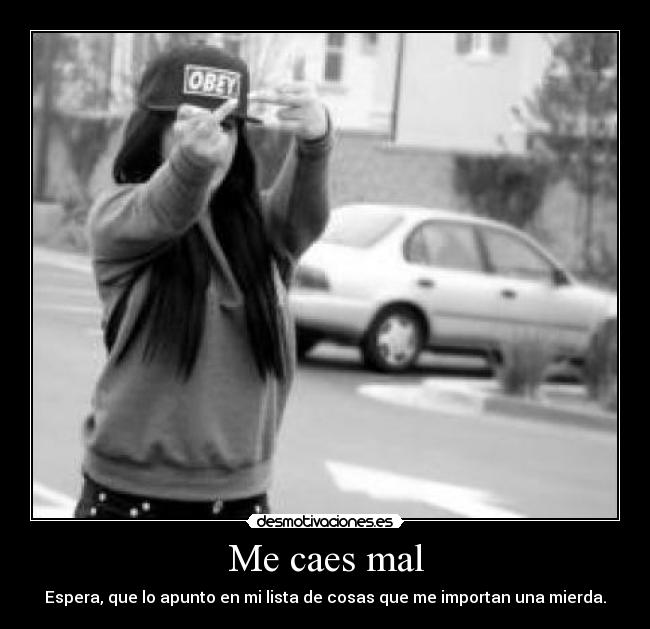 Me caes mal - Espera, que lo apunto en mi lista de cosas que me importan una mierda.