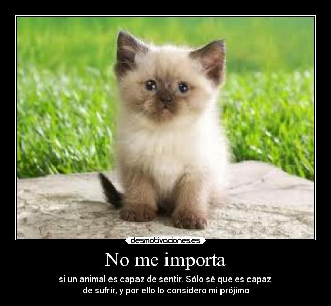 No me importa - si un animal es capaz de sentir. Sólo sé que es capaz
de sufrir, y por ello lo considero mi prójimo