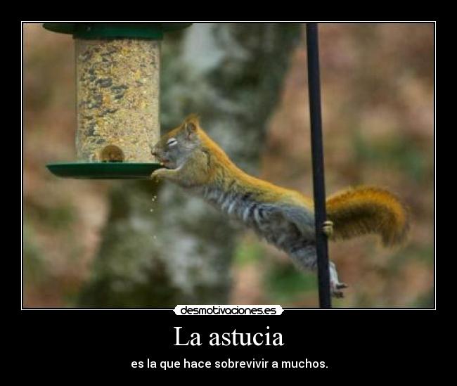 carteles mimamamemima ariadnec dice hola clantheblackcat racismo los gatos negros uwu desmotivaciones