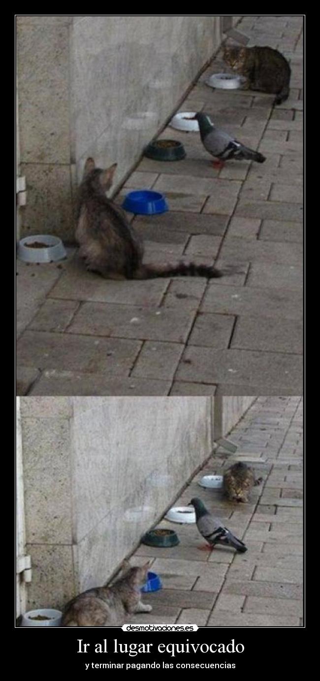 carteles bbbbbb desmotivaciones