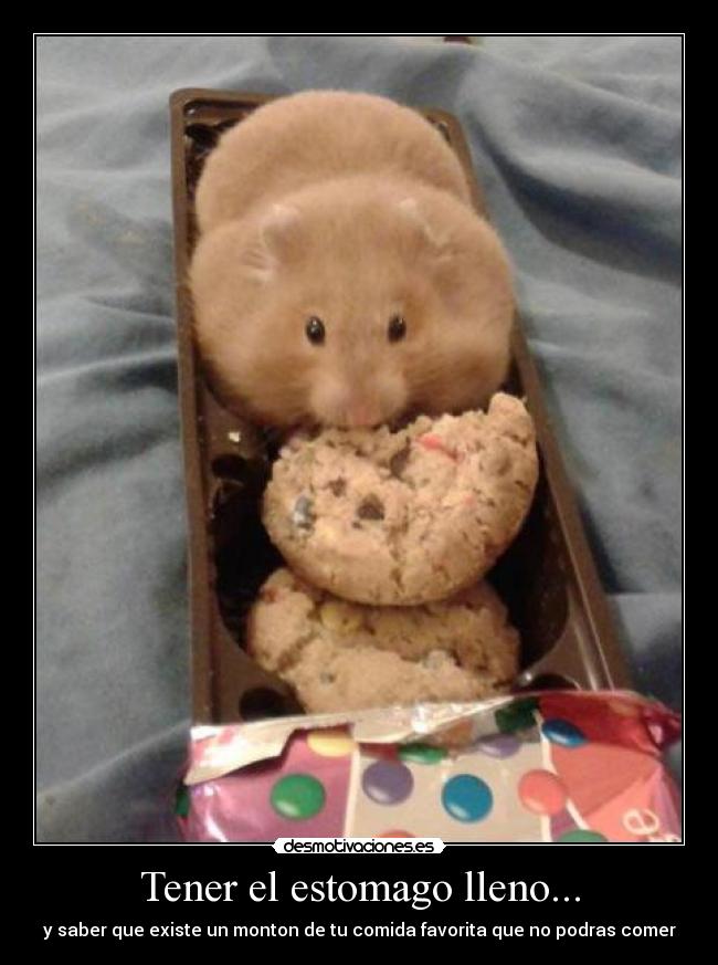 carteles fgfgf desmotivaciones