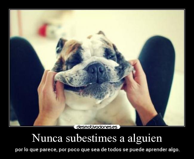 carteles ese perro enamora itt arbol sueltes cpec4 murida amor desmotivaciones