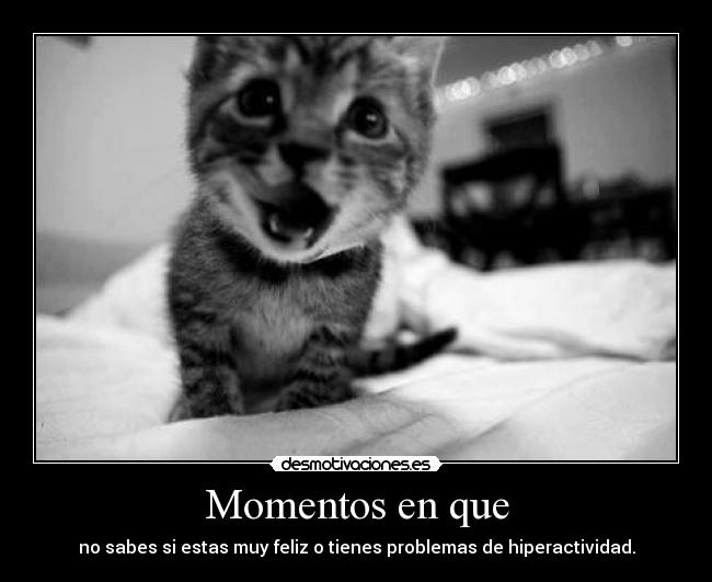 Momentos en que - 