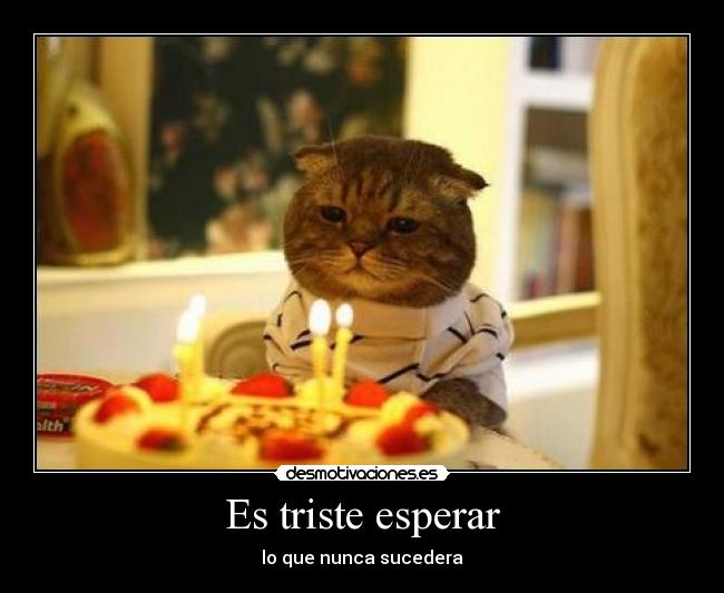 carteles gatituu critiquen igual estoy aburrido desmotivaciones