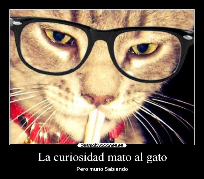 La curiosidad mato al gato - 