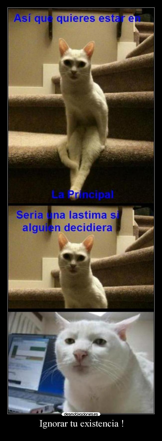 Ignorar tu existencia ! -