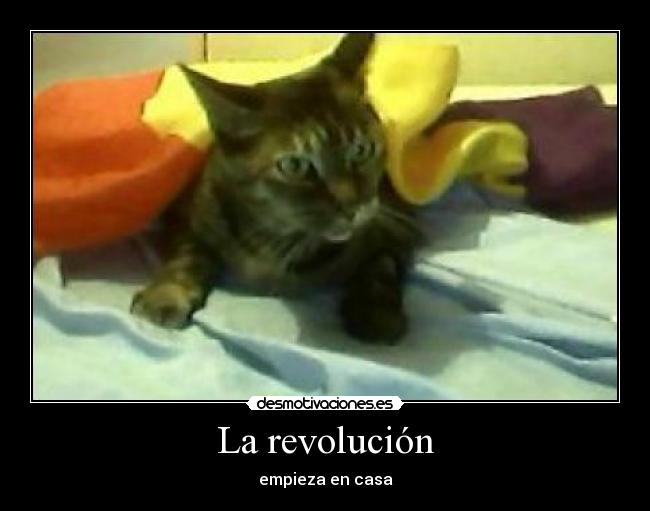 La revolución - empieza en casa
