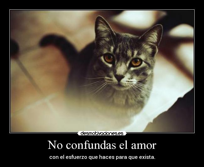 No confundas el amor - 