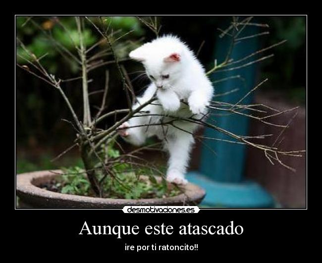 carteles jejjeje desmotivaciones