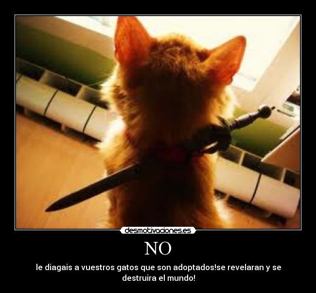 NO - le diagais a vuestros gatos que son adoptados!se revelaran y se destruira el mundo!