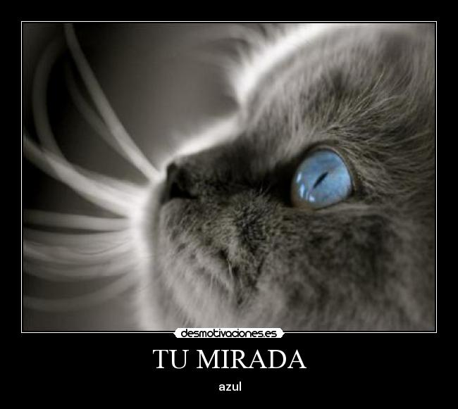 TU MIRADA -