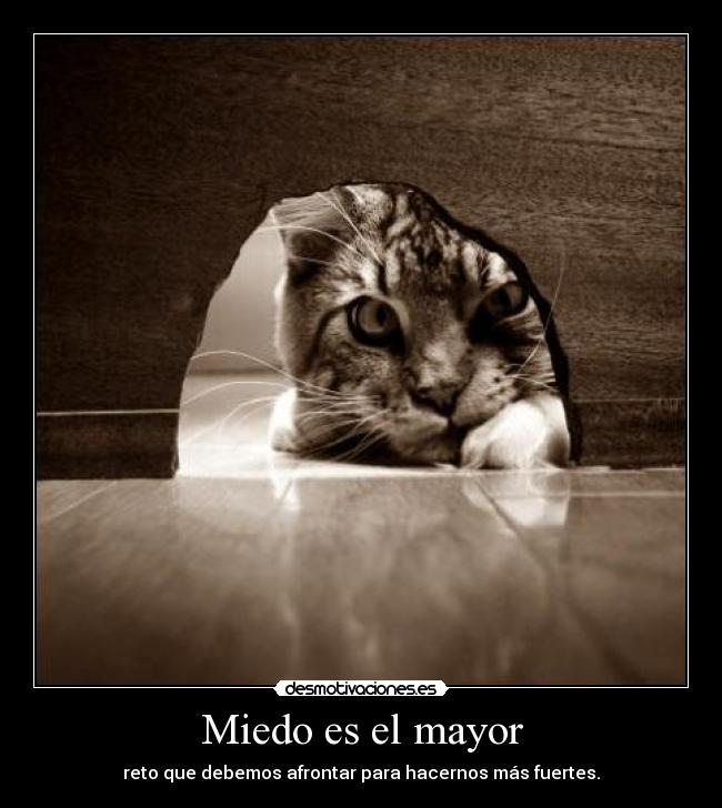 Miedo es el mayor - 