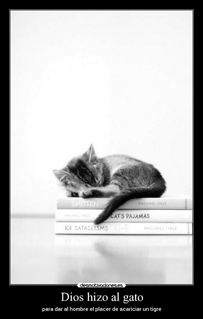 Dios hizo al gato - para dar al hombre el placer de acariciar un tigre