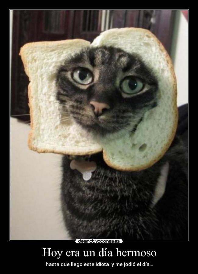 Hoy era un día hermoso - hasta que llego este idiota y me jodió el día...