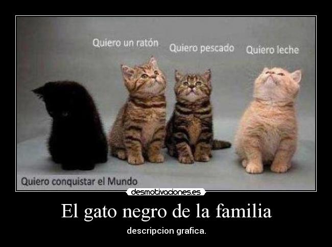El gato negro de la familia -